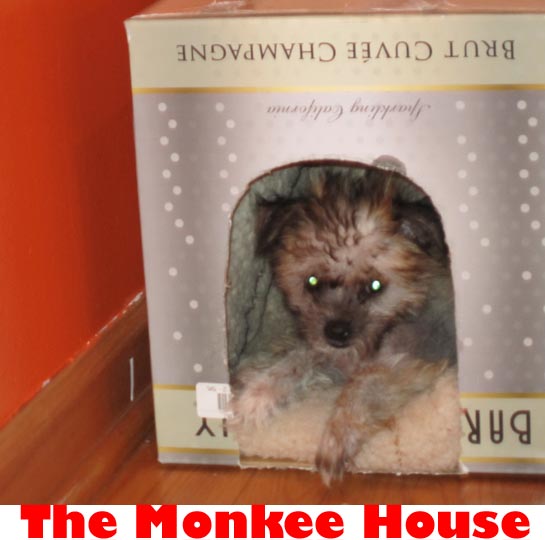 monkee house