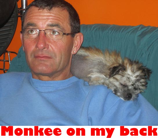 monkee on my back